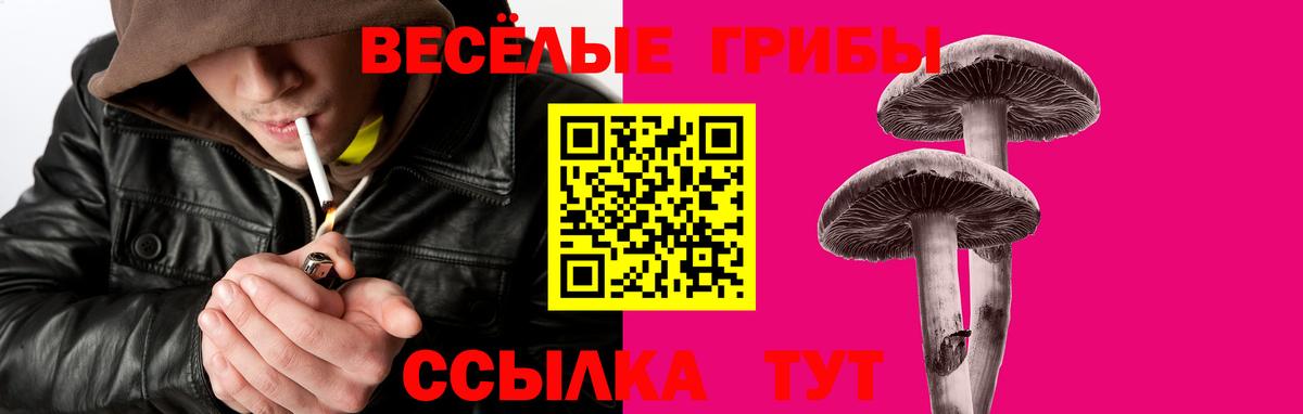ГАШИШ  Кокаин  Туймазы  Лсд 25  Меф МЯУ МЯУ кристаллы  Где купить  МЕТ  Вход с VPN 